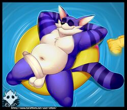 big the cat from sonic (series) by elfein