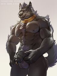 abs anthro balls beard biceps big_biceps big_muscles big_pecs body_hair canine chest_hair chest_tuft collar ear_piercing erection facial_hair facial_piercing fluffy fluffy_tail front_view fur genital_piercing grey_balls grey_fur grey_hair grey_nose grey_penis grey_skin grey_tail hair hand_on_leg hand_on_penis hand_on_thigh happy_trail huge_muscles humanoid_hands humanoid_penis looking_down male male_only mammal muscular muscular_male nose_piercing nude partially_retracted_foreskin pecs penis penis_piercing piercing pose prince_albert_piercing pubes raised_tail simple_background solo standing teeth thick_thighs tuft uncut wolf xuan_sirius yellow_eyes