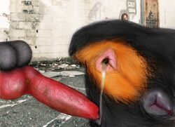 after_sex anal animal_genitalia animal_penis animal_pussy anus ass balls butt_shot canine canine_penis canine_pussy cum cum_in_ass cum_inside cum_leaking darkmare duo erection feces female feral gaping gaping_anus hairy_balls in_heat male mammal penis photo_background pink_anus pull_out pussy rottweiler straight