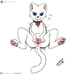 1:1 3_toes anthro anus collar domestic_cat feet felid feline felis female fur genitals hi_res legs_in_air lying mammal on_side patreon patreon_logo patreon_username pawpads paws pink_anus pink_nose pink_pawpads pink_pussy pussy pussycat_tiger solo spread_legs spread_pussy spreading text toes traditional_media_(artwork) url white_body white_fur yordraw