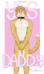 3:5 anthro blush chest_tuft chuck_(p_rindustries) collar collar_only collar_tag cover covering covering_crotch domestic_cat felid feline felis fur hair hi_res male mammal messy_hair nipples nude orange_body orange_fur p_rindustries pink_background pink_ears pink_nose pubes simple_background smile solo standing tabby_cat tail tuft whisker_spots white_background white_body white_fur