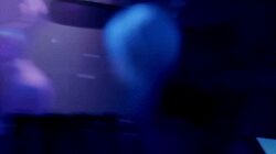 3girls animated bear_girl bikini bonfie_(cryptiacurves) bunny_girl cryptiacurves female fexa_(cryptiacurves) fox_girl frenni_fazeclaire_(cryptiacurves) furry giantess scrag_boy shaking_breasts shaking_butt stripclub stripper_pole tagme twerking