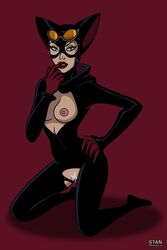 batman_(series) catwoman catwoman_(the_batman) dc_comics selina_kyle stan straight_hair the_batman