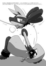 anal_beads anthro blush bound greyscale japanese_text kurohane_karasu leash lucario monochrome nintendo pokemon pokemon_(species) sex_toy sweat text translation_request video_games