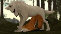 canine canine_genitalia canine_penis female feral feral_on_feral feral_penetrated feral_penetrating forest_background fox interspecies knot knotted_penis male male/female orange_fur outside_sex penis second_life self_upload size_difference straight videogame white_fur wolf xray_view zeevwolf