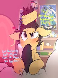 blush dialogue english_text equine erection fellatio hi_res horse kribbles kribbles_(character) male mammal my_little_pony oral penis pony pulling_hair sex text yaoi