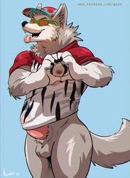 1boy anthro balls bottomless canine clothed clothing erection erection_under_clothes eyewear glasses male male_only mammal muscular negger pecs penis penis_under_shirt shirt solo standing tongue tongue_out wet_shirt wolf wolfthorn_(old_spice)