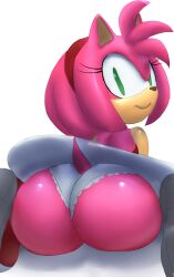aerosin amy_rose female furry sonic_(series)