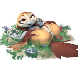 2024 anthro anus ass avian beak big_butt big_eyes bird brown_body brown_feathers chest_tuft claws curling_toes eyelashes feathers feet female flat_chested flexible flower folded genitals grass grey_beak hand_on_butt happy hi_res huge_butt inner_labia legs_behind_head legs_up lying multicolored_body nude on_back on_grass open_mouth open_smile orange_claws orange_eyes owl pink_vulva plant plump_labia presenting presenting_anus presenting_vulva rock short_stack signature simple_background smile solo spread_butt spread_legs spreading tail tail_feathers tan_body tan_feathers thick_thighs three-quarter_view toe_claws trashtikko tuft vulva white_background wide_hips winged_arms wings