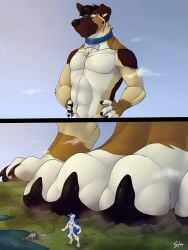 3:4 animal_genitalia anthro balls black_pawpads blue_body blue_collar blue_eyes blue_fur brown_body brown_claws brown_fur brown_hair brown_nose canid canine canis cbpup claws collar domestic_dog duo floppy_ears front_view fully_sheathed fur genitals german_shepherd glistening glistening_eyes hair hand_on_hip herding_dog husky jhusky macro male male_anthro mammal mouth_closed nordic_sled_dog nude pastoral_dog pawpads penis penis_tip red_penis sheath signature solaxe_(artist) spitz standing tan_body tan_fur white_balls white_body white_fur white_sheath