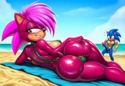 sonia the hedgehog from sonic (series)