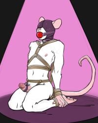 accessory anthro ball_gag biscuit_(biscuits) black_background bondage bondage bound cock_ring cock_ring_vibrator collar erection femboy fur gag gagged genitals gimp_mask hi_res humanoid_genitalia humanoid_penis jewelry kneeling lady_snakebite male mammal mask mouse murid murine nipples nude_anthro nude_male penis penis_accessory penis_jewelry pink_background restraints ring_vibrator rodent rope rope_bondage rope_harness sex_toy simple_background slim slim_anthro slim_male solo submissive submissive_anthro submissive_male vibrating_cock_ring vibrator white_body white_fur