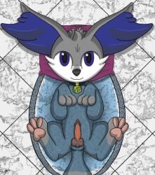 animal_genitalia animal_penis balls bath bathing blue_body blue_eyes blue_fur canid canine canine_genitalia canine_penis collar collar_only erection fan_character fennekin feral fox fur generation_6_pokemon genitals grey_body grey_fur knot knotted_penis loki_tempus looking_at_viewer lying male mammal nintendo nude on_back paws penis pokemon pokemon_(species) slysocx solo spa tail water