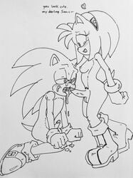 amy rose from sonic (series) by randomguy999