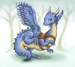 eragon safira tagme