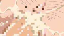 ane_koi animated blush breast_grab breasts censored closeup cum cum_in_pussy hayami_sana incest large_breasts messy missionary mosaic_censoring nipples orgasm pashmina pov pussy rape sex shirt_lift sister skirt_lift vaginal_penetration