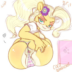 activision aer0_zer0 anthro anus ass bandicoot bedroom_eyes big_anus big_ass big_butt biting_lip blonde_hair bra cameltoe clothing coco_bandicoot computer crash_bandicoot_(series) electronics eyebrows eyelashes female flower green_eyes hair half-closed_eyes heart hi_res laptop large_ass looking_at_viewer mammal marsupial panties partially_visible_vulva plant ponytail pussy seductive smile solo spreading teasing underwear video_games