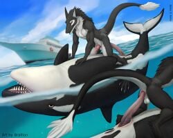 2025 anal anal_sex animal_genitalia anthro anthro_on_feral anthro_penetrated artist_name balls biped black_body black_fur black_tail blue_sky brallion cetacean close-up cloud colored cowgirl_position day dolphin duo english_text erection feral feral_penetrating feral_penetrating_anthro feral_penetrating_male from_front_position fur genital_slit genitals hi_res interspecies long_penis lying male male/male male_on_feral male_penetrated male_penetrating male_penetrating_anthro male_penetrating_male mammal marine nude oceanic_dolphin on_back on_bottom on_top orca outside partially_submerged penetration penile penile_penetration penis penis_in_ass sergal sex ship sky tail text toothed_whale vehicle watercraft white_balls zoophilia