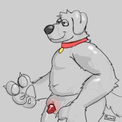 1:1 animal_genitalia animal_penis brian_griffin canid canine canine_genitalia canine_penis collar collar_only family_guy genitals hi_res male mammal nude penis pinnati solo white_body