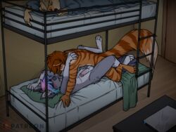 2017 alexis_(breathoftime) anal anal_sex anthro bed bunk_bed canine duo erection feline fur girly grey_fur hair humanoid_penis husky inside keavemind lying malan_(athiesh) male mammal nude open_mouth orange_fur penetration penis precum sex stripes tiger yaoi