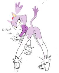 blaze the cat from sonic (series) by filthypally