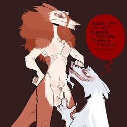 animal_genitalia annoyed anthro balls begging begging_pose blood bodily_fluids brown_background dialogue dominant dominant_anthro dominant_male duo eek_(hamham_gd) english_text eye_bags fully_sheathed fur gaikotsu_(hamham_gd) genitals grey_body grey_fur hair hamham_gd hand_on_leg hand_on_thigh hi_res long_hair male male/male nosebleed open_mouth pose red_body red_fur sergal sheath simple_background speech_bubble submissive submissive_anthro submissive_male tan_body tan_fur text white_hair wounded