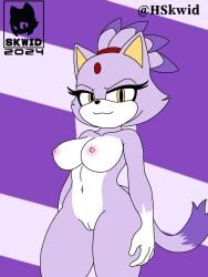 anthro areola blaze_the_cat breasts digital_media_(artwork) domestic_cat felid feline felis female fur genitals hair hi_res looking_at_viewer mammal navel nipples nude ponytail purple_body purple_fur pussy sega simple_background skwid smile solo sonic_the_hedgehog_(series) standing tail