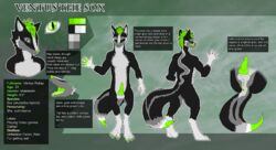 1boy 2017 4_toes 5_fingers animal_genitalia anthro anus ass balls black_fur canine canine_penis claws close-up cuntboy cuntboy_only design digitigrade english_text erection fluffy fluffy_tail fox front_view full-package_cuntboy fur green_eyes green_fur green_hair grey_fur grin hair herm hermaphrodite hybrid inner_ear_fluff intersex invalid_tag knot large_ass looking_at_viewer male maleherm mammal model_sheet multi_genitalia multicolored_fur nude pawpads paws penis pussy rear_view skunk slit_pupils smile solo standing stripes teeth text toe_claws toes tongue tongue_out ventusthesox white_fur