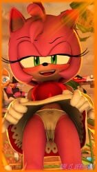 2girls 3d accurate_body_type accurate_proportions amy_rose anthro anthro_female anthro_only ari_is_very_sad bat_girl blush clothed clothed_female clothing dress dress_lift eulipotyphlan fur gloves green_eyes hedgehog lifting_skirt mammal panties panties_peek pink_fur red_dress rouge_the_bat sega sfm sonic_(series) sonic_the_hedgehog_(series) source_filmmaker source_filmmaker_(artwork) tail under_dress white_gloves