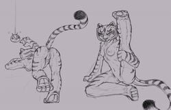 2017 anus ass dreamworka feline female kung_fu_panda mammal master_tigress monochrome presenting presenting_hindquarters presenting_pussy pussy spread_legs spreading tacticalmagpie tiger