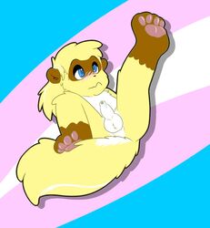 balls bits cute fan_character ferret invalid_tag male_only mammal mustelid showing shy skunket