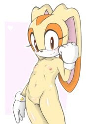 alternate_body_type anthro areola big_ears big_eyes blush clothing cream_the_rabbit female fur gloves heart jetfrozen lagomorph long_ears looking_at_viewer mammal mostly_nude navel nipples pussy rabbit smile solo sonic_(series) standing transparent_background young