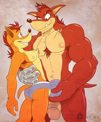 2015 anthro anti_dev armpit_hair ass bandicoot biceps bulge clothing crash_(series) crash_bandicoot crotch_grab crunch_bandicoot duo fur gay green_eyes grope hairy half-erect hi_res humanoid_penis male male_only mammal marsupial muscular nipples pecs penis pubic_hair smile underwear video_games yaoi