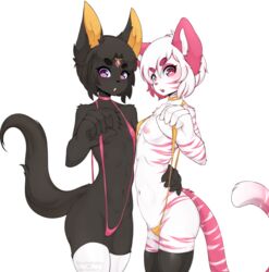 2017 anthro blushstroke breasts canine duo feline female fur hair mammal nao navel nipples