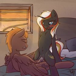 2014 anthro bed bed_sheet bedding black_fur black_pussy blinds blue_eyes blush brown_fur brown_hair calamity_(fallout_equestria) clenched_teeth clitoris closed_eyes cowgirl_position cum cum_in_pussy cum_inside cum_on_penis cutie_mark duo equine erection fallout_equestria fan_character feathered_wings feathers female flat_chested fur grey_fur hair hi_res horn inside itspencilguy lying male male_penetrating mammal multicolored_hair my_little_pony navel nude on_back on_bed on_top open_mouth orange_hair pegasus penetration penis pillow pussy red_hair scar sex straddling straight teeth tongue unicorn vaginal_penetration velvet_remedy white_hair window wings