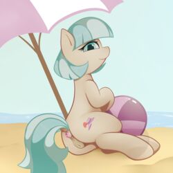 2017 anus ass beach blue_eyes buttplug coco_pommel_(mlp) cutie_mark earth_pony equine female feral friendship_is_magic horse looking_at_viewer looking_back mammal multicolored_hair my_little_pony neighday pony pussy seaside sex_toy solo two_tone_hair