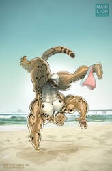 2017 abs anthro areola balls beach benji_(character) big_arms big_balls big_penis clothing clouded_leopard feline flaccid green_eyes handstand hyper hyper_muscles mainlion male male_only mammal markings muscular muscular_male nipples nude pecs penis seaside solo spots thick_thighs underwear veiny_muscles water