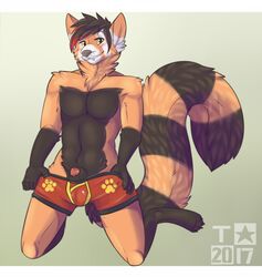 2017 animal_genitalia anthro blush brown_fur clothing digital_media_(artwork) fur hair kneeling konomichi looking_at_viewer male_only mammal orange_fur peeping red_panda sheath simple_background smile solo taintedstar teasing underwear