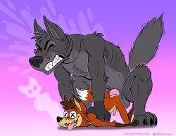 absurd_res anal anal_sex anthro balls canid canine closed_eyes death_by_snu_snu duo fox genitals hi_res male male/male mammal nikraccoom penetration penis size_difference tongue tongue_out x_pupils