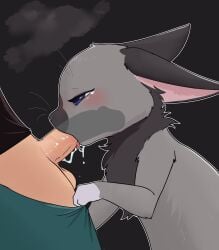 absurd_res balls bestiality blue_eyes blush bodily_fluids cozyfruit duo fellatio female feral feral_penetrated fluffy fluffy_chest genitals grey_body half-closed_eyes hi_res human human_on_feral human_penetrating human_penetrating_feral humanoid_genitalia humanoid_penis interspecies lagomorph leporid male male/female mammal mya_(cozyfruit) narrowed_eyes oral penetration penile penis rabbit saliva saliva_string sex simple_background teary_eyes tongue tongue_out x-ray_view