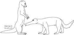 1992 animal_genitalia dated duo eye_contact feet feral frown fur genitals hybrid imminent_oral longnose looking_at_another male male/male mammal monochrome mustelid open_mouth otter sheath standing tail toony urbanhermit