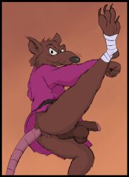 anthro anus balls black_border border bottomless brown_body brown_fur butt cintoon clothed clothing fur genitals hi_res humanoid_genitalia humanoid_penis looking_at_viewer male mammal master_splinter murid murine penis rat robe robe_only rodent solo tail teenage_mutant_ninja_turtles