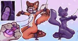 abdominal_bulge bdsm blindfold bondage_gear bondage_gloves canid canine chastity_cage chastity_device clothing collar cuff_(restraint) dildo dildo_sitting electrostimulation felid fox gag handwear hi_res kneeling large_toy latex lizzyrascal mammal pantherine pawpads peavyfox penetration red_fox restraints ring_gag sex_toy shock_collar snow_leopard true_fox wrist_cuffs