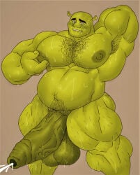1boy dreamworks dreamworks_animation dreamworks_pictures gab_art humanoid male male_only ogre pacific_data_images shrek shrek_(film) shrek_(series)