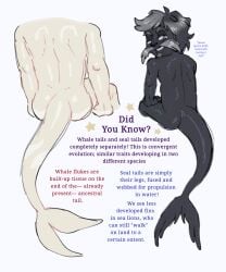 2boys anthro anthro_only bearded_male bearded_seal blue_eyes butt dark_fur dark_skin delphinidae digital_drawing_(artwork) digital_media_(artwork) dilf dolphin dolphin_tail duffy_wallace dwarf dwarf_male dwarfism ears educational english_commentary english_text facial fun_fact infographic jonah_(mr_shrink) learning male male_focus male_only moustache mr_shrink muscular muscular_anthro muscular_male mustache naked no_visible_genitalia nude nude_anthro nude_male oc orca orca_boy orca_tail original original_character original_characters out_of_frame pale_skin seal seal_boy seal_tail shiny_skin silver_fox slim_waist smirking suggestive suggestive_look suggestive_smile toothed_whale whale whale_tail