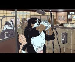 6:5 absurd_res anthro balls belly bernese_mountain_dog canid canine canis domestic_dog eyes_closed fibear flaccid genitals glans group heart_eyes heart_symbol hi_res male male/male mammal molosser mountain_dog navel nude overweight overweight_male penis sauna swiss_mountain_dog tail trio
