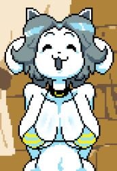 Temmie (Undertale) Rule 34 Image