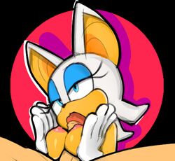 rouge the bat from sonic (series) by filthypally