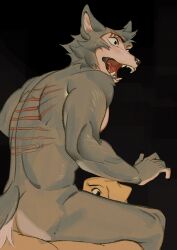 anthro beastars canid canine canis domestic_dog duo fangs fingers floppy_ears fur hemuchang hi_res jack_(beastars) legoshi_(beastars) male male/male mammal open_mouth scar tail teeth wolf