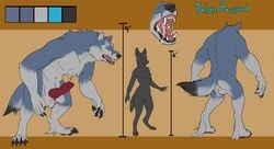 2017 animal_genitalia animal_penis anthro anthro_only balls breasts canine canine_penis chakat-silverpaws claws digital_media_(artwork) erection female fur furry knot male mammal model_sheet muscular no_humans nude open_mouth penis simple_background teeth were werewolf wolf